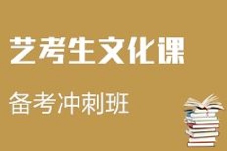 选择河南艺考生文化课辅导班的注意事项