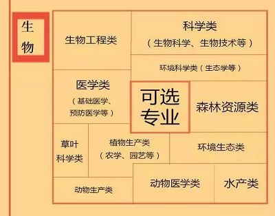 根据特长选专业,高中各门课程对应大学专业实用盘点 根据特长选专业,高中各门课程对应大学专业实用盘点