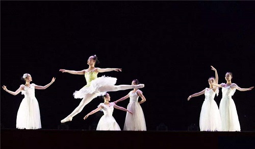 2019高校高水平艺术团招生基本要求 2019高校高水平艺术团招生基本要求