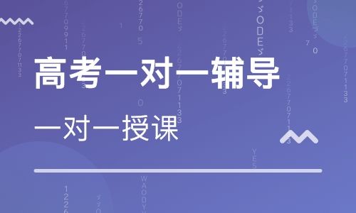 河南高考一对一辅导收费标准 河南高考一对一辅导收费标准