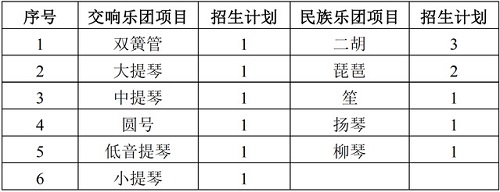 南京大学2019年高水平艺术团招生简章