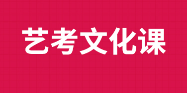 艺考生文化课招生简章