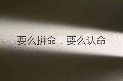 郑州市高三生文化课封闭集训学校排名推荐