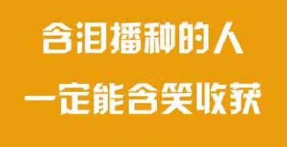 灵宝高考文化课全托集训学校哪家好 灵宝高考文化课全托集训学校哪家好