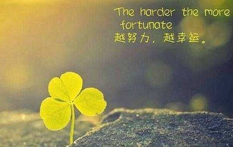 周口高三培训班哪所学校靠谱